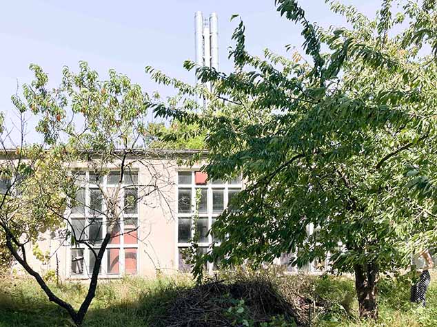 Jugendclub-Außenansicht_Obstbäume Jugendclub Außenansicht mit einer Obstbaumwiese davor