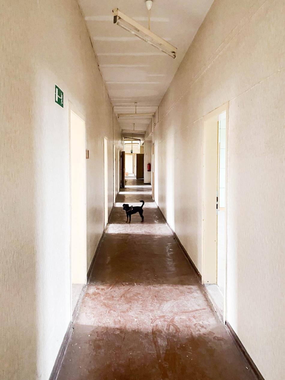 BAHN5-16-Flur_cubus-plan Innenansicht eines Flurs vor dem Umbau.